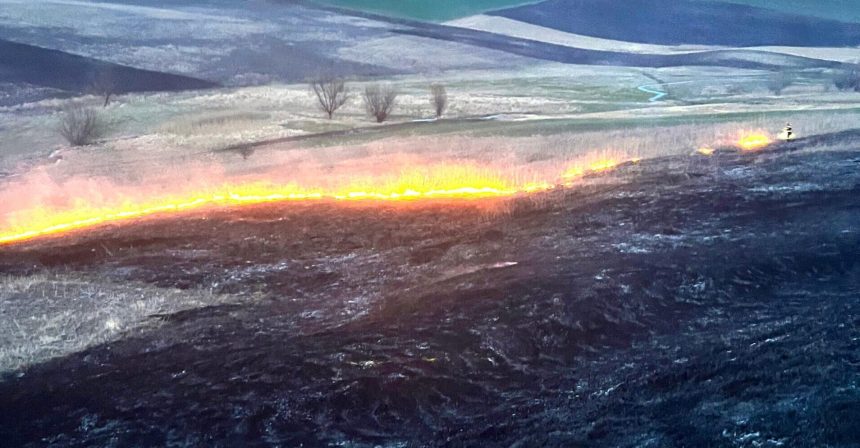FOTO Flacari intense in ultimele ore in judetul Botosani Incendii in cinci localitati