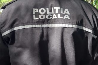 O primarie din judeul Botosani recruteaza politist local Ce cerinte sunt
