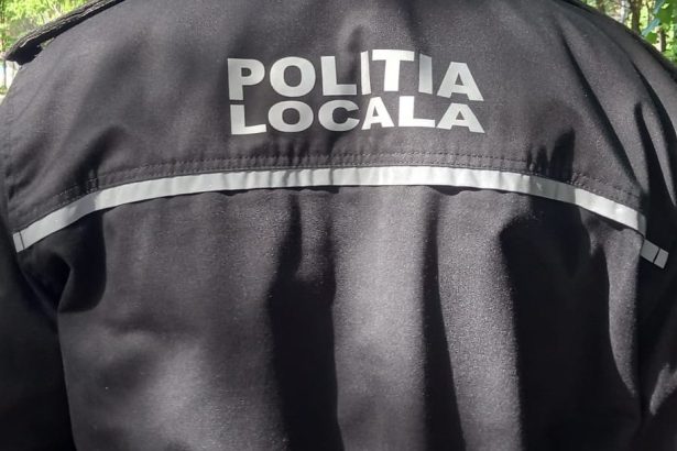 O primarie din judeul Botosani recruteaza politist local Ce cerinte sunt