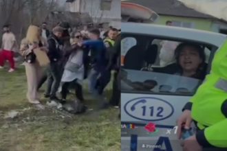 video angajata primariei din botosani anchetata pentru contrabanda a fost plasata sub control judiciar da eu sunt cea mai mare contrabandista eu fac evaziunile fiscale