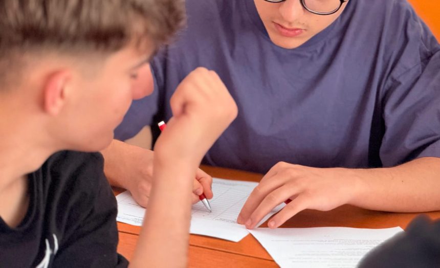 29 de elevi din Botosani au obtinut note de 10 la simularea Bacalaureatului Afla care este procentul de promovare