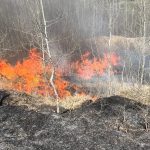 Comunele din Botosani cu cele mai multe incendii de vegetatie