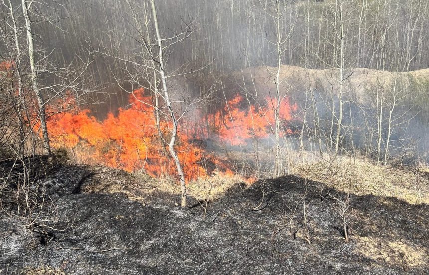 Comunele din Botosani cu cele mai multe incendii de vegetatie
