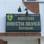 Directia Silvica Botosani scoate la licitatie plante medicale Se vand flori de salcam tei soc paducel si sunatoare