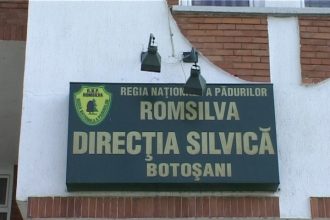 Directia Silvica Botosani scoate la licitatie plante medicale Se vand flori de salcam tei soc paducel si sunatoare