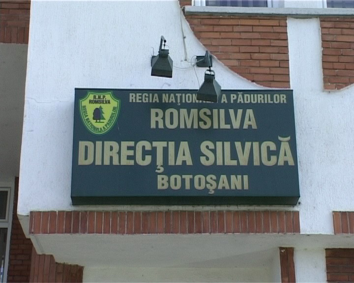 Directia Silvica Botosani scoate la licitatie plante medicale Se vand flori de salcam tei soc paducel si sunatoare