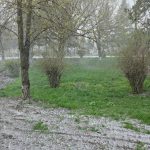 FOTO Zapada mieilor la Botosani Astazi a nins in mai multe zone ale judetului