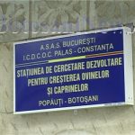 Statiunea Popauti recruteaza angajati Salariile ajung la peste 6000 de lei