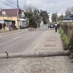 VIDEO Trafic oprit pe o strada din Botosani Vantul a doborat un copac si doi stalpi