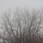 Vremea se schimba brusc Temperaturile scad in toata tara