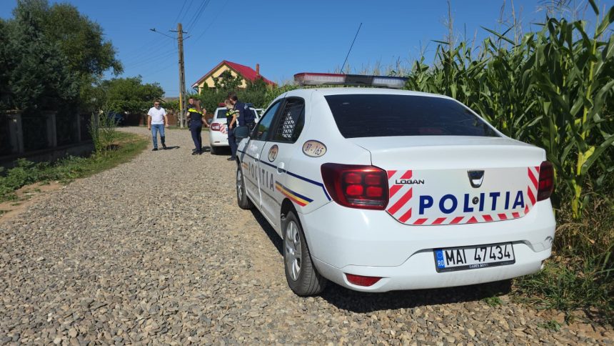 Ca in salbaticie Doi botosaneni au agresat un barbat pe un camp