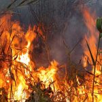 Cinci incendii in mai putin de 30 de minute la Botosani Locuinte si o spalatorie auto salvate de flacari