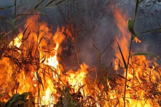 Cinci incendii in mai putin de 30 de minute la Botosani Locuinte si o spalatorie auto salvate de flacari