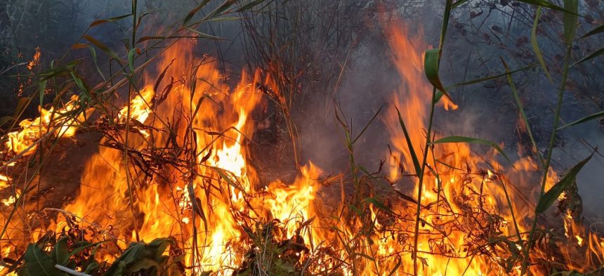 Cinci incendii in mai putin de 30 de minute la Botosani Locuinte si o spalatorie auto salvate de flacari