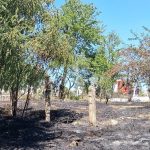 FOTO A incercat sa faca curatenie dar a provocat un incendiu intr un cimitir din judetul Botosani Interventia pompierilor a fost necesara