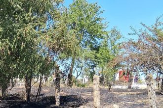 FOTO A incercat sa faca curatenie dar a provocat un incendiu intr un cimitir din judetul Botosani Interventia pompierilor a fost necesara