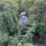 FOTO Accident Trei tineri din Botosani sau rasturnat cu autoturismul