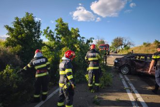 FOTO Accidentul de la Botosani provocat de un politist Tanarul a lovit un copac cu masina