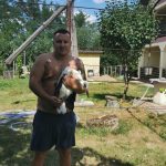 FOTO Doi pui de barza abandonati de parinti intr o localitate din Botosani Pasarile adulte au plecat spre tarile calde