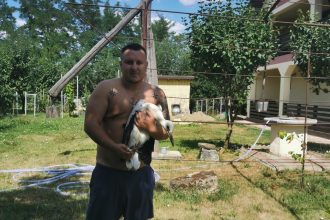 FOTO Doi pui de barza abandonati de parinti intr o localitate din Botosani Pasarile adulte au plecat spre tarile calde