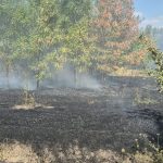 FOTO Incendii devastatoare in trei localitati din judetul Botosani Ce a declansat flacarile