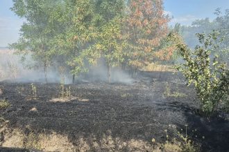 FOTO Incendii devastatoare in trei localitati din judetul Botosani Ce a declansat flacarile