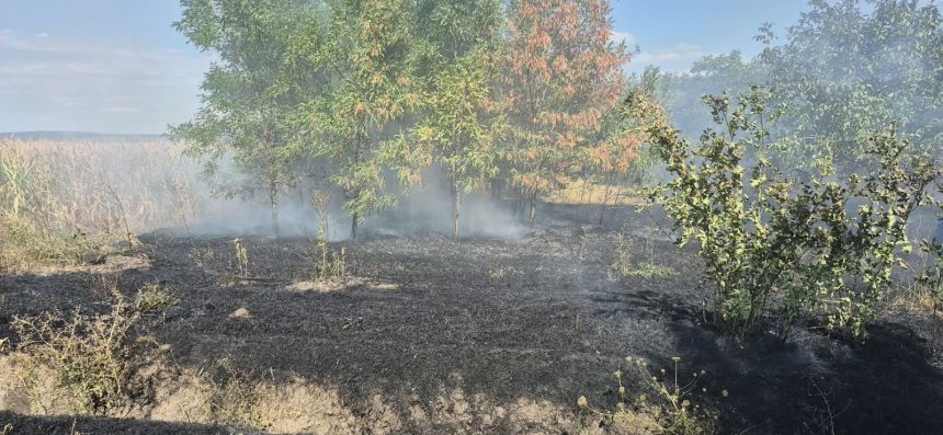 FOTO Incendii devastatoare in trei localitati din judetul Botosani Ce a declansat flacarile