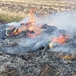 FOTO Incendii in trei localitati din judetul Botosani Pompierii intervin la temperaturi de peste 30 de grade Celsius
