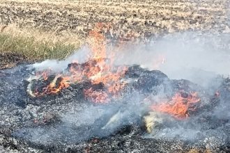 FOTO Incendii in trei localitati din judetul Botosani Pompierii intervin la temperaturi de peste 30 de grade Celsius