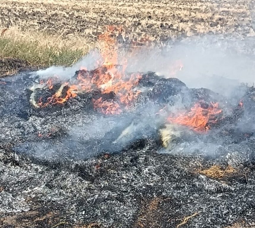 FOTO Incendii in trei localitati din judetul Botosani Pompierii intervin la temperaturi de peste 30 de grade Celsius