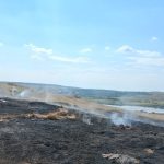FOTO Incendii la Vorniceni si Manastirea Doamnei Flacarile au distrus hectare intregi de vegetatie