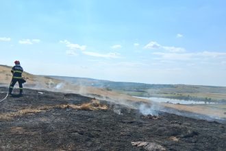 FOTO Incendii la Vorniceni si Manastirea Doamnei Flacarile au distrus hectare intregi de vegetatie
