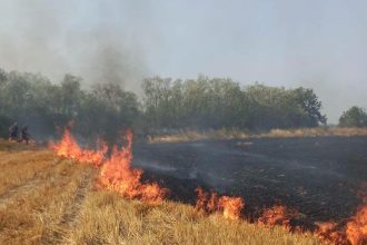 FOTO Incendiu intr un cimitir din judetul Botosani provocat de o lumanare