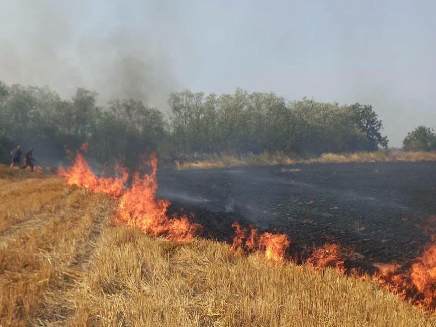 FOTO Incendiu intr un cimitir din judetul Botosani provocat de o lumanare