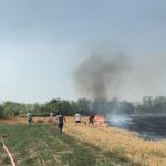 FOTO Incendiul izbucnit dintrun cimitir din judeul Botosani a afectat vegetatia uscat pe o suprafata de 50 de hectare