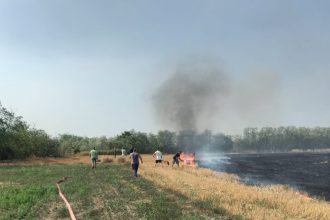 FOTO Incendiul izbucnit dintrun cimitir din judeul Botosani a afectat vegetatia uscat pe o suprafata de 50 de hectare