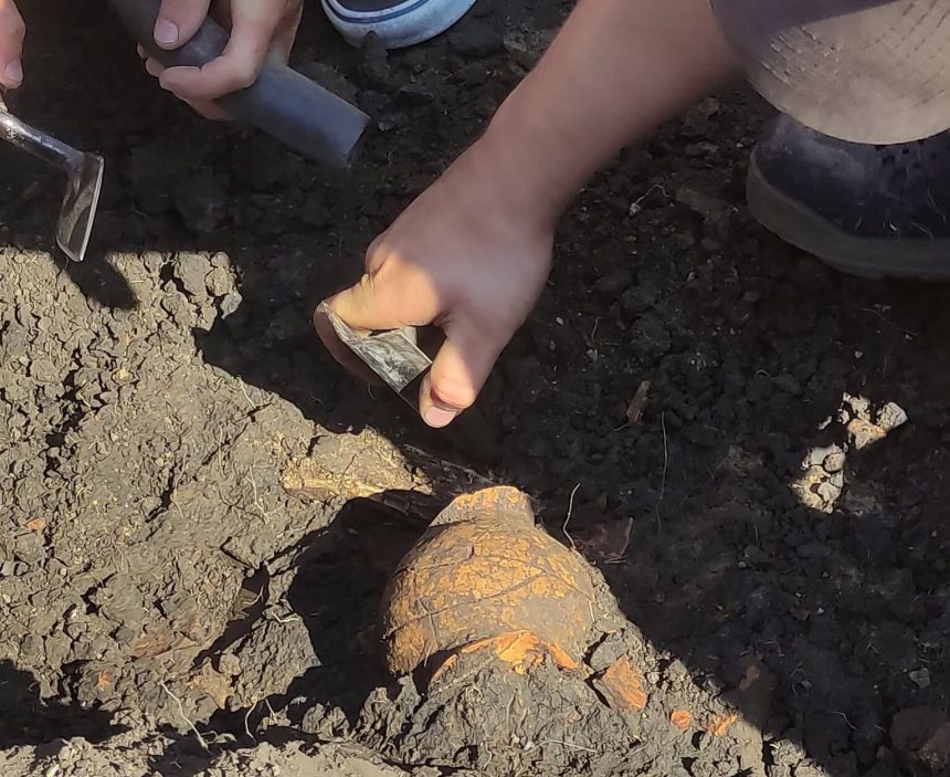 FOTO Locatia din judeul Botosani care devine oficial cea mai mare asezare Cucuteni din Romania