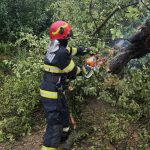 FOTO Probleme cauzate de vant la Botosani Flamanzi si prajeni Copaci cazuti si un burlan desprins de la un bloc