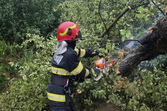 FOTO Probleme cauzate de vant la Botosani Flamanzi si prajeni Copaci cazuti si un burlan desprins de la un bloc