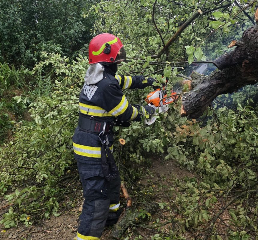 FOTO Probleme cauzate de vant la Botosani Flamanzi si prajeni Copaci cazuti si un burlan desprins de la un bloc