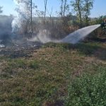 FOTO Trei case salvate de la flacari Incendii in Davidoaia Stefanesti si Saveni