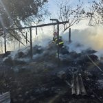 FOTO incendiu devastator intr o localitate din Botosani Ot animal au murit inflacarate