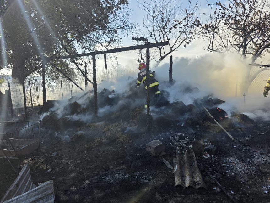 FOTO incendiu devastator intr o localitate din Botosani Ot animal au murit inflacarate