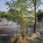 FOTO incendiu intr un cimitir din judetul Botosani Cruci si coroane funerare de pe morminte au fost cuprinse de flacari