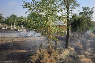 FOTO incendiu intr un cimitir din judetul Botosani Cruci si coroane funerare de pe morminte au fost cuprinse de flacari