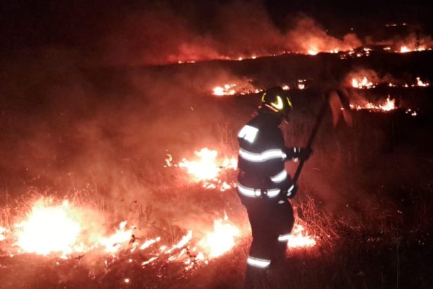Incendii in doua localitati din Botosani O locuinta si un depozit de furaje au fost salvate de flacari