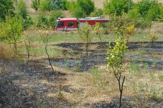 Incendii in trei localitati din Botosani Vegetatia uscata a fost mistuita iar flacarile ar fi putut ajunge la locuinte
