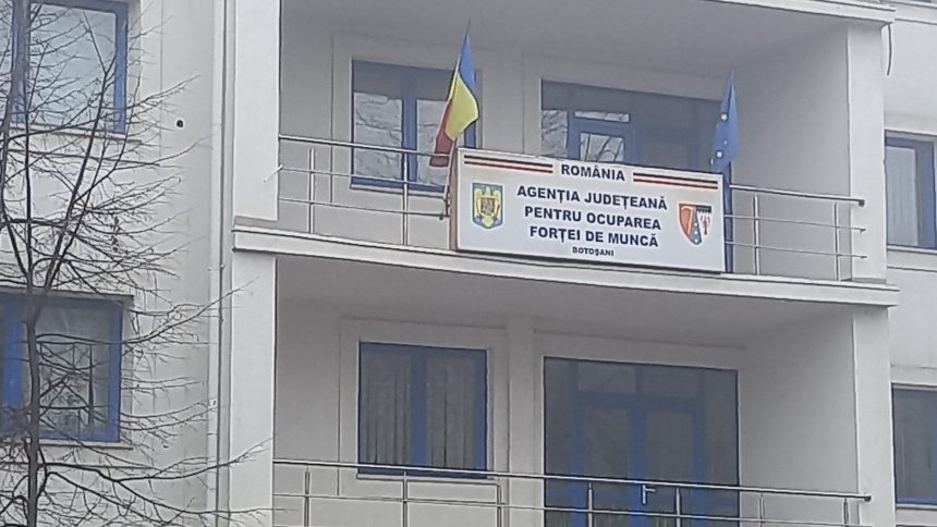 La ce nivel a ajuns rata somajului in Botosani