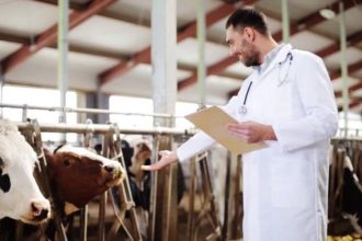 Licitatia pentru desemnarea medicilor veterinari in 23 de localitati din Botosani Afla in ce UAT uri sunt disponibile posturile