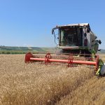 Performanta agricola O echipa de fermiere dintr o comuna din Botosani ocupa locul 1 in tara la profit